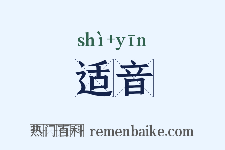 适音是什么意思的图片